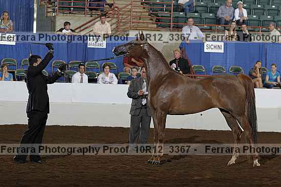 Proof Number 10r12_3367