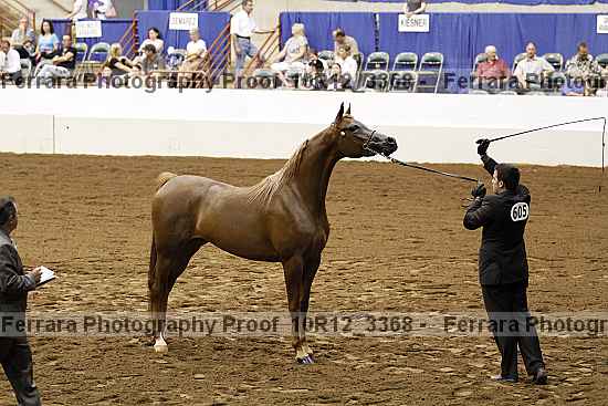 Proof Number 10r12_3368