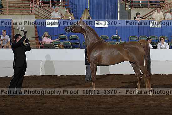 Proof Number 10r12_3370