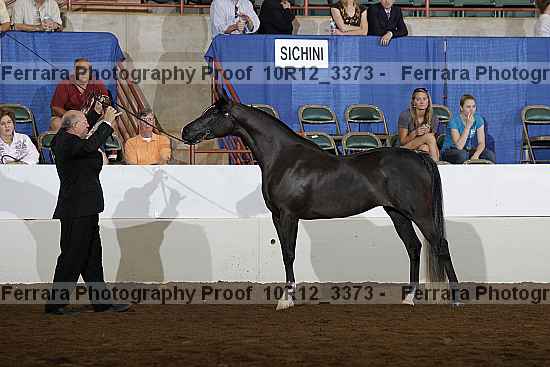 Proof Number 10r12_3373