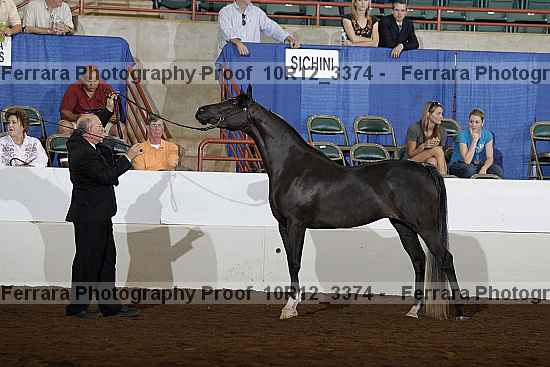 Proof Number 10r12_3374