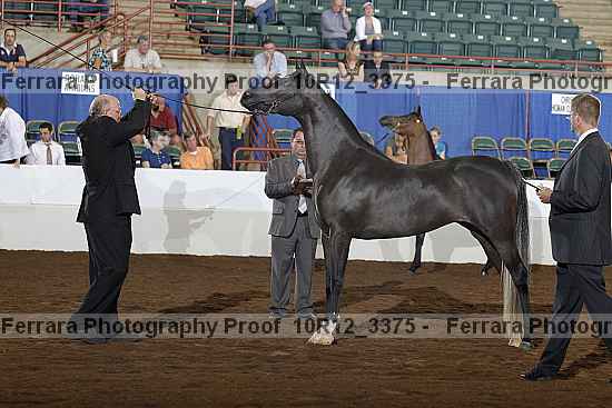 Proof Number 10r12_3375