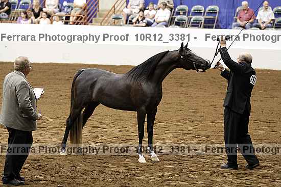 Proof Number 10r12_3381