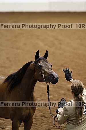 Proof Number 10r12_3384