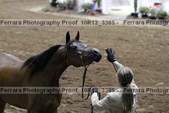 Proof Number 10r12_3385