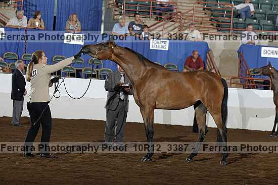 Proof Number 10r12_3387