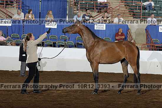Proof Number 10r12_3393