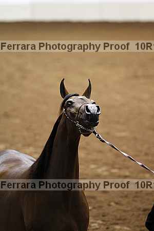 Proof Number 10r12_3398