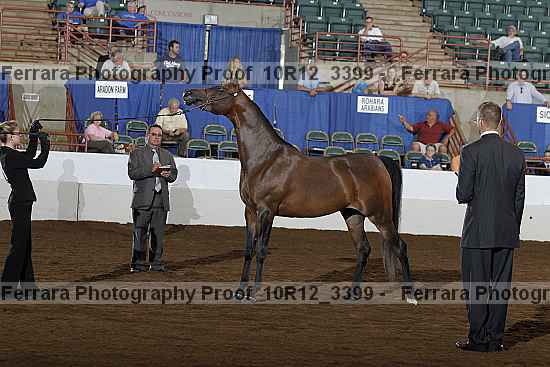 Proof Number 10r12_3399