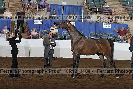 Proof Number 10r12_3400