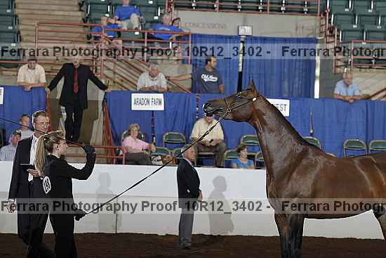 Proof Number 10r12_3402