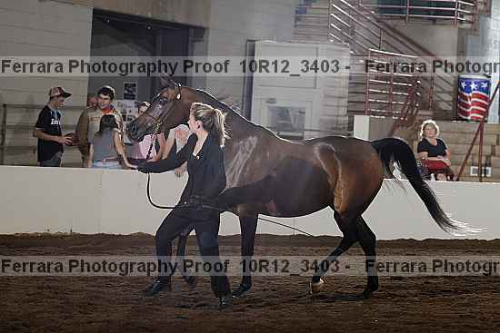 Proof Number 10r12_3403