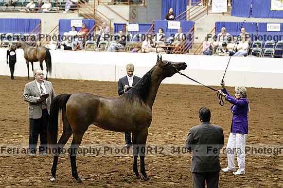 Proof Number 10r12_3404