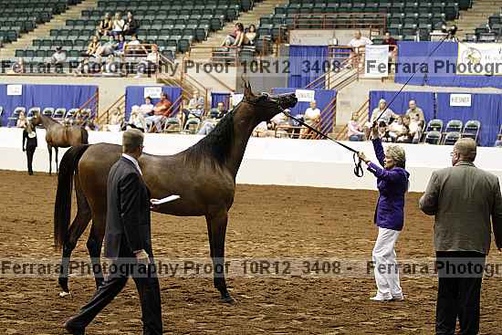 Proof Number 10r12_3408