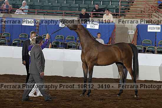 Proof Number 10r12_3410