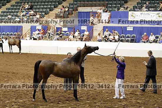 Proof Number 10r12_3412