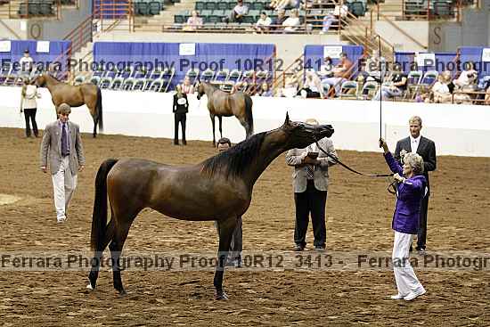 Proof Number 10r12_3413