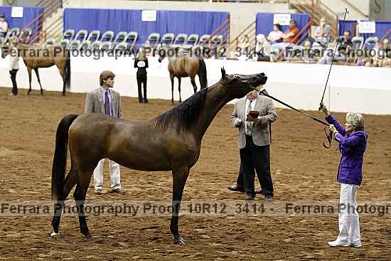 Proof Number 10r12_3414