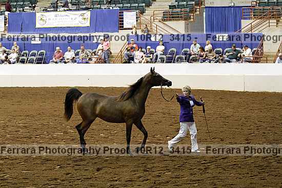 Proof Number 10r12_3415