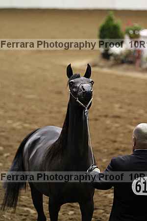 Proof Number 10r12_3416