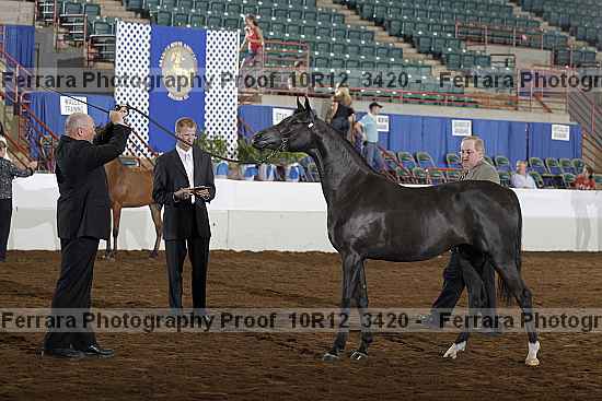 Proof Number 10r12_3420
