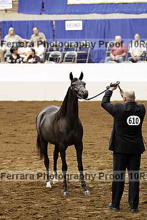 Proof Number 10r12_3421