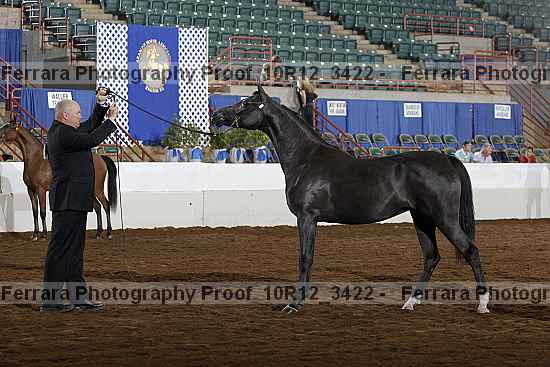 Proof Number 10r12_3422