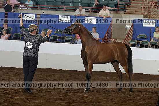 Proof Number 10r12_3430
