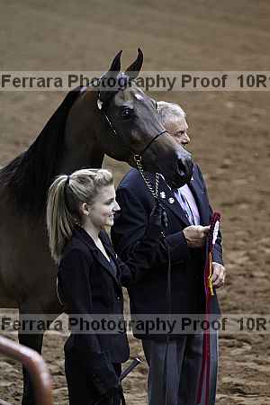 Proof Number 10r12_3433