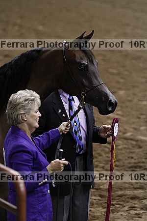 Proof Number 10r12_3437