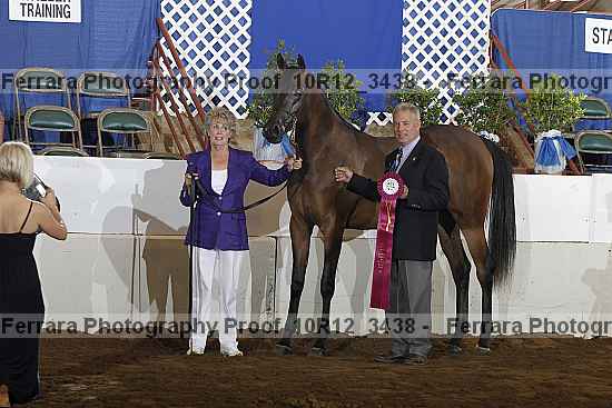 Proof Number 10r12_3438