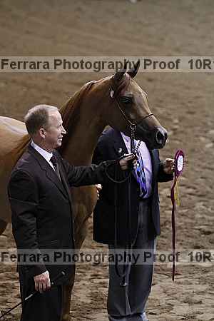 Proof Number 10r12_3439