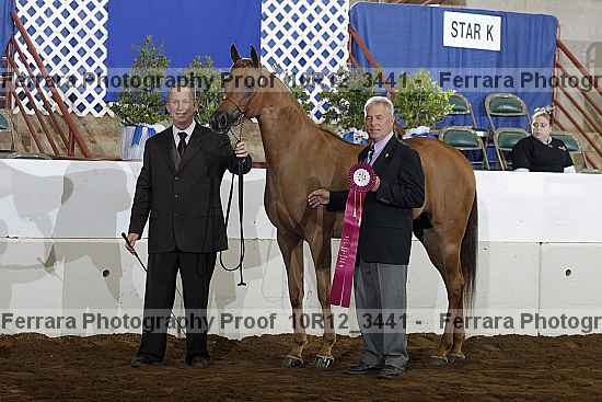 Proof Number 10r12_3441