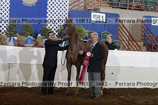 Proof Number 10r12_3442