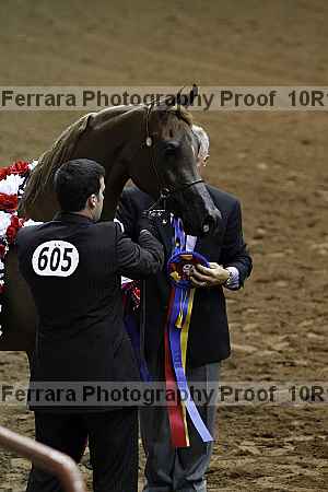 Proof Number 10r12_3449