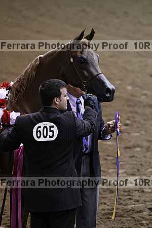 Proof Number 10r12_3450