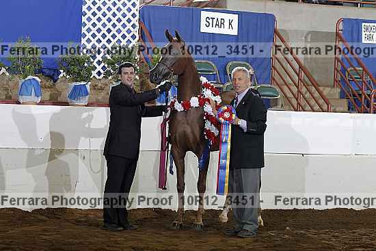 Proof Number 10r12_3451