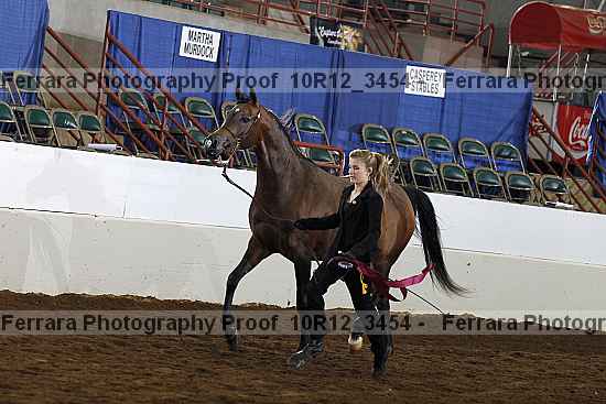 Proof Number 10r12_3454