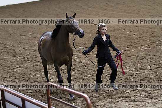 Proof Number 10r12_3456