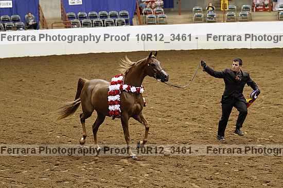 Proof Number 10r12_3461