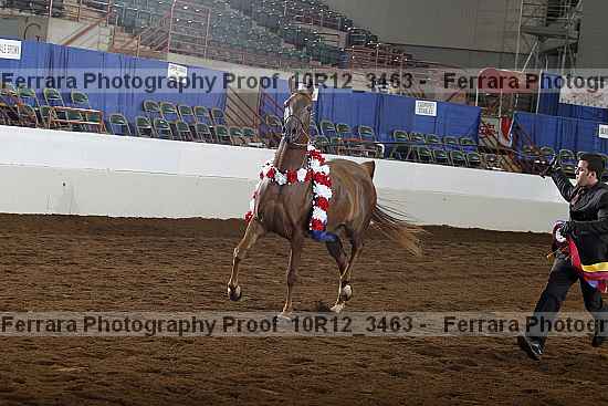 Proof Number 10r12_3463