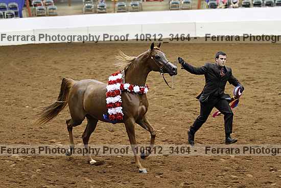 Proof Number 10r12_3464
