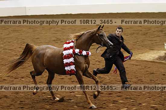 Proof Number 10r12_3465
