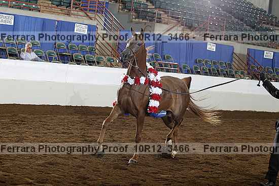Proof Number 10r12_3466