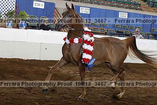 Proof Number 10r12_3467