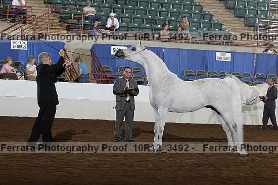 Proof Number 10r12_3492