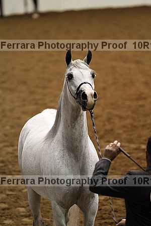 Proof Number 10r12_3498