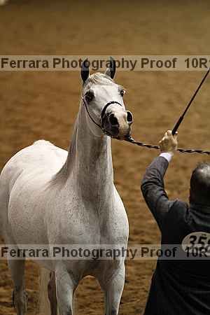 Proof Number 10r12_3499