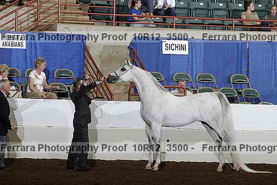 Proof Number 10r12_3500