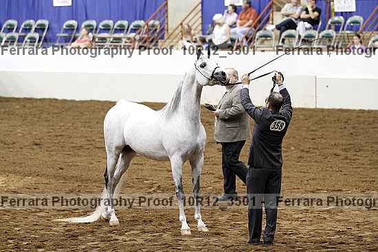 Proof Number 10r12_3501